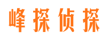 获嘉市调查取证